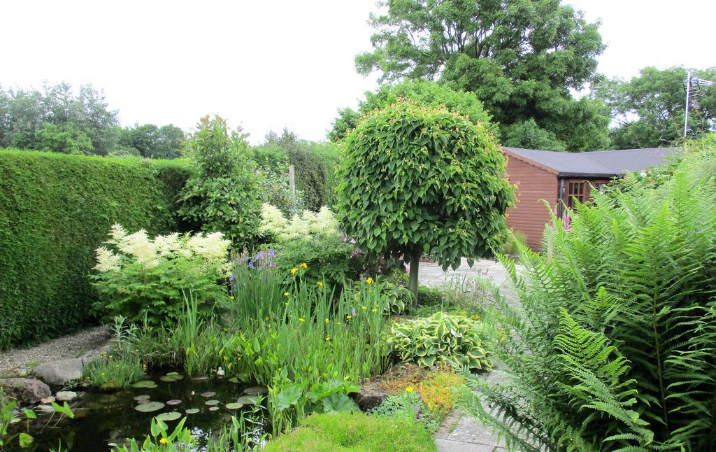 The Garden Lodge Llynclys Buitenkant foto